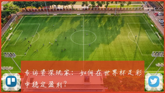专访资深玩家:如何在世界杯足彩中稳定盈利?