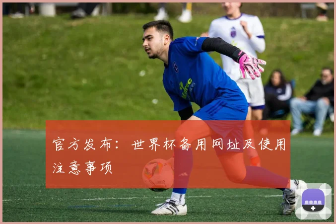 官方发布：世界杯备用网址及使用注意事项
