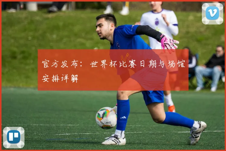 官方发布：世界杯比赛日期与场馆安排详解