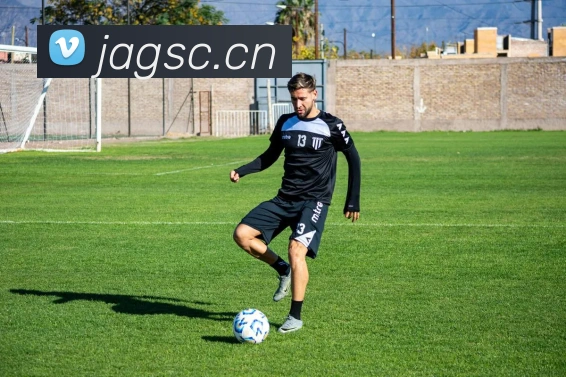 星空体育综合体育官网入口平台生态图